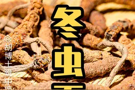 冬虫夏草能补肺益肾 #冬虫夏草 #虫草 #咳嗽 #胡博士说中医视频封面