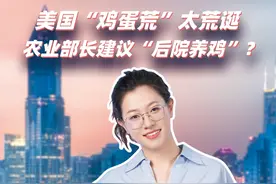 美国“鸡蛋荒”太荒诞，农业部长建议“后院养鸡”？ #蛋荒 #鸡蛋