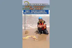 离岸流科普视频实景演示火了！网友调侃：老师你先别讲了，“教材”好像要没了。救援员回应：传统科普方式枯燥无味，创新方式能让观众更直观感受到危险性。
