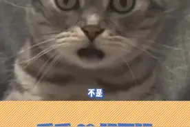 平民玩家这下爽了！ #诛仙2 #诛仙2手游 #诛仙2手游公测定档8月7日
