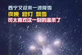 #西宁又迎来一波降雪  夜晚、路灯、飘雪…可太喜欢这一刻的温柔了。