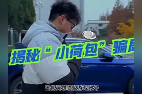 请谨慎使用支付宝“小荷包”功能！#刑侦利剑守护平安视频封面