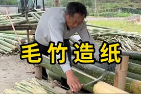 毛竹造纸，采用传统手艺，过程很解压！ #毛竹造纸 #科普 #涨知识视频封面