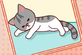会让猫咪短命的四个养猫习惯，多少养猫老手都栽了，你中招了吗？#家有傻猫 #铲屎官的乐趣 #养猫进阶指南 #实用养猫技巧 @DOU+小助手 @锅盖的汪汪队  视频封面
