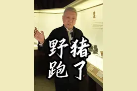 虽然它不再是三有保护动物，但也不意味着可以滥杀。#野猪 #保护动物 #大有学问