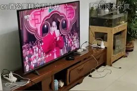 吕布骑草履虫 #电脑 #离谱 #万万没想到