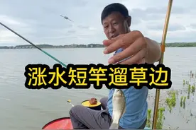涨水的鱼，退水的虾，涨水了用短竿钓草边前会有奇效！#野钓 #野钓鲫鱼 #2023dou来钓鱼 #户外钓鱼  #野外垂钓