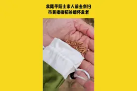 4月1日湖南长沙，袁隆平院士家人手持金黄稻穗来到万寿园祭扫，有市民在一旁播撒稻谷缅怀袁老#清明寄哀思 视频封面