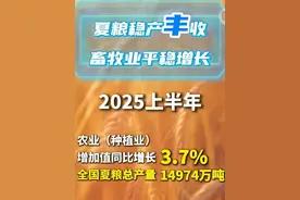 7月15日，国家统计局公布2025年上半年中国经济“成绩单”。初步核算，上半年国内生产总值（GDP）660536亿元，按不变价格计算，同比增长5.3%，国民经济稳中向好。#30秒看中国经济成绩单 #女子垃圾堆捡22个金镯价值近40万 #广东现基孔肯雅热疫情确诊478例 #男子高温天在马路上救下迷路女童
