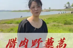 春天里湖南人必吃的野菜。 老爸驱车50公里去长沙边上摘的野藜蒿，自己家过年做的肥瘦肉美的腊肉。给钓鱼人吃上洞庭湖的野菜味道，家里记忆中的味道！#霉豆腐豆腐乳  #内容启发搜索视频封面