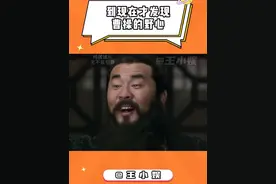 三国演义中的豪杰们是如何取名的 #三国演义 #搞笑视频封面