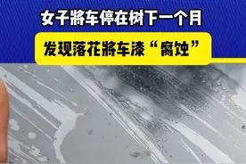 女子将车停在树下一个月，发现落花将车漆“腐蚀” #车漆 #洗车视频封面