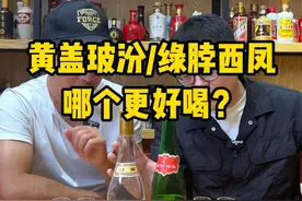 黄盖玻汾 和绿脖西凤哪个更好喝？
#黄盖玻汾 #绿脖西凤 #口粮酒 #好酒推荐 #超藏酒库视频封面