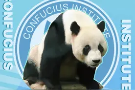 用脚步，踏遍美丽世界|一片天真憨态奇，腹中藏竹不藏机。走进#爱宝乐园 ，沉浸式体验，了解熊猫的前世今生。#“最·孔院”全球短视频征集活动 #韩国外国语大学孔子学院 #熊猫 #阔爱炸了视频封面