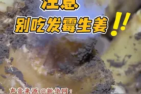 注意！生姜霉变，坏掉部分切掉也不建议吃！快转发到“相亲相爱一家人”群！#生姜 #科普视频封面