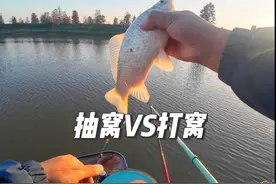 野钓打窝，打窝和抽窝哪种效果更好？ #钓鱼技巧 #打窝技巧