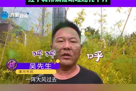 鸡棚倒塌砸死一万多只鸡，男子：保险公司一个多月迟迟不解决，经小莉协调成功理赔九十万视频封面