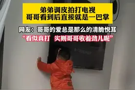 弟弟调皮拍打电视  哥哥看到后直接就是一巴掌，“看似真打  实则哥哥收着劲儿呢”网友：人教人不会 哥哥一教就会（畅）视频封面