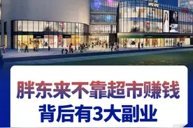 胖东来不靠超市赚钱，背后三大副业打开金库大门。 #胖东来 #商超 #飞橙教育 #飞橙生意经 #许茹冰视频封面