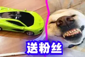 送粉丝：用遥控车来考科目二你能通过吗？ #爆笑 #解说 #科目二