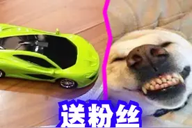 送粉丝：用遥控车来考科目二你能通过吗？ #爆笑 #解说 #科目二视频封面