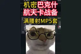 机密航天巴克什卡战备 腰射MP5套 #三角洲行动