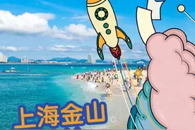 上海金山婚姻登记处。 上海金山，大金山的婚登处 领证婚姻登记处视频封面