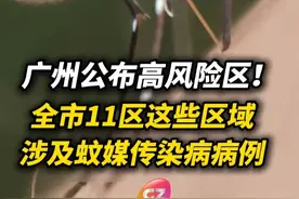 广州公布高风险区！全市11区这些区域涉及蚊媒传染病病例，存在传播风险。#蚊子  #基孔肯雅热
