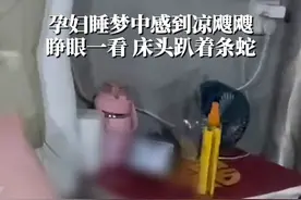 6月19日，四川宜宾。孕妇睡梦中感到凉飕飕，睁眼一看，床头趴着条蛇。视频封面