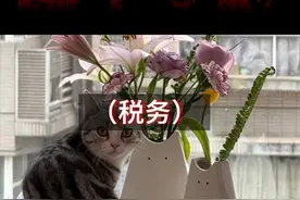 人头税太多，资产税太少，啥时候能摊丁入亩？视频封面