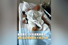香格里拉一村民遭黑熊袭击，被拍晕昏迷受伤进ICU，熊去追滚落的背包才逃过一劫，当地政府：野生动物制害有相关补偿