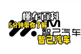 大厂国家队的无奈，5分钟带你了解智己汽车。上汽集团，阿里巴巴