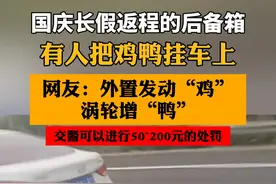 #国庆长假返程的后备箱 ，#有人把鸡鸭挂车上 #奇闻轶事 #交通安全 @DOU+小助手视频封面
