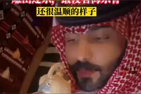 这只宠物，价值北上广几套房子？#石油大亨 @DOU+小助手视频封面