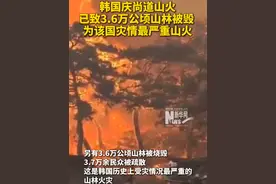 韩国庆尚道山火已致3.6万公顷山林被毁 为该国灾情最严重山火视频封面