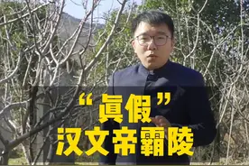 “真假”汉文帝霸陵 #汉文帝霸陵被发现 #老师请解答 #文化新说 #乡村振兴 @抖音文化站 
