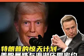 美股暴跌与特朗普的惊天计划！海湖庄园协议能否拯救美国经济？视频封面