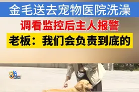 孙女士有一条金毛犬，已经养了两年多，前段时间，她把狗送去宠物医院洗澡，去接的时候，发现狗的一只脚不能落地，说是查看监控后，她报了警。#浙江dou知道 #媒体精选计划 #1818黄金眼 #金毛 #宠物