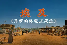 《开罗的骆驼正哭泣》 ——开罗的远郊，东撒哈拉沙漠的边缘，有一个世界上最大的骆驼交易市场。
那里黄沙漫天，寸草不生，只有骆驼在奔跑着，哭泣着……视频封面