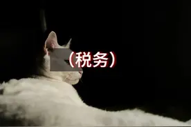 合法不用交社保的五种情形