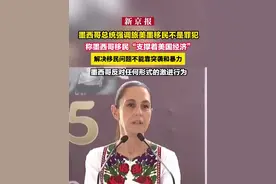 墨西哥总统强调旅美墨移民不是罪犯，称墨西哥移民“支撑着美国经济”，解决移民问题不能靠突袭和暴力，墨西哥反对任何形式的激进行为视频封面