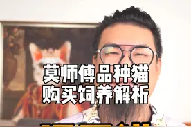 您家的暹罗猫，现在黑到什么程度了？ #新手养猫 #科学养猫 #暹罗猫 #正直的莫师傅 #德云女孩视频封面