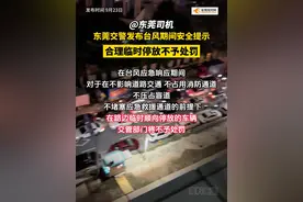 @ 东莞司机，东莞交警发布#台风  期间安全提示，合理临时停放不予处罚。#东莞 #安全 #天气