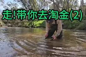 走！带你去淘金 上期视频讲的是如何开采岩石里的金视频封面