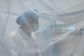 截至9月19日24时，江门全市累计报告1714例。记者走访江门鹤山市人民医院各病区，今天共有276名基孔肯雅热住院病人，所有病例均为轻症，没有出现重症和死亡病例。病房内已设防蚊门帘，每张病床都安装蚊帐。（广东台记者 王毓喆）