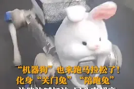 11月3日（采访），浙江杭州，“机器狗”也来跑马拉松了！化身“关门兔”“陪跑兔”，边跑边喊加油，回头率超高。人形机器人担任“全马完赛欢迎使者”，在终点热情迎接参赛选手。视频封面