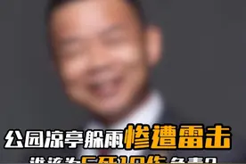 公园凉亭内躲雨惨遭雷击 谁该为6死10伤负责？#法律咨询 #法律 #林教头普法
