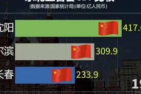 哈尔滨长春沈阳三市GDP比较，东北省会发展水平如何？ #知识视频封面