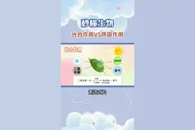光合作用VS呼吸作用#生物 #初中生物 #涨知识