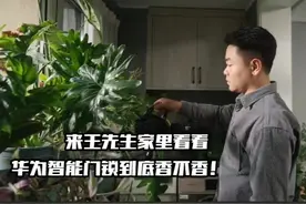 智能门锁什么才是最重要的？安全？便捷？智慧联动视频封面
